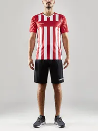 1910175-430000_Progress 2.0 Stripe Jersey M_Closeup4.jpg